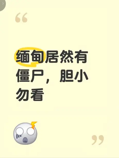 《缅甸僵尸出土事件》高清无删减完整版在线播放 - 缅北神秘事件现场录像揭秘真相 - 缅甸僵尸出土事件全集免费观看