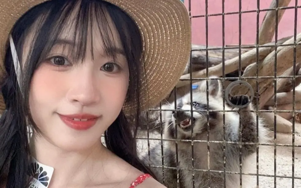 国产女神《苏畅》vlog视频大全-最新无删减版高清在线观看-《苏畅》全集免费播放-1080P高清画质