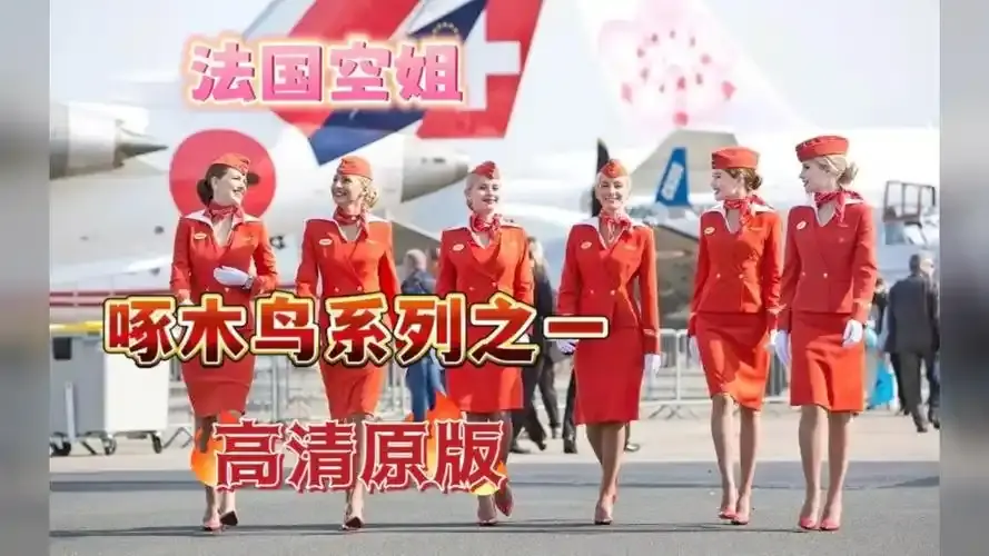 《法国空姐4》相关资源图片