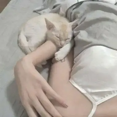 《森泽佳奈》高清全集未删减中文版免费在线观看无广告网盘资源下载-年度现象级作品全集珍藏版-1080P蓝光无水印百度网盘夸克迅雷高速下载-中文配音无广告版